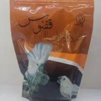سرلاک پرنده