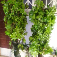 درختچه مصنوعی