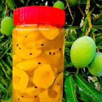 فروش ترشی انبه دبه یک کیلویی با انبه درجه ۱