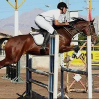 باشگاه سوارکاری شاهان