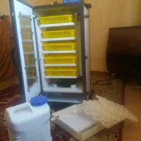 دستگاه جوجه کشی ۲۱۰ تایی ساخت فاخته|لوازم جانبی حیوانات|دیلمان, |دیوار