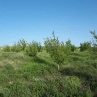 زمین-ویلایی-حصارشده-به-متراژ-های-مختلف