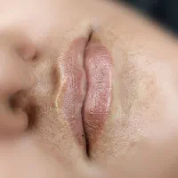 مدل هیراستروک و شیداستروک اروپایی|خدمات آرایشگری و زیبایی|شیراز, باهنر|دیوار