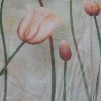 فروش تعدادی از لوازم منزل به دلیل مهاجرت|دوچرخه، اسکیت، اسکوتر|فولادشهر, A2|دیوار