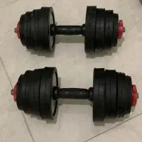 یک جفت دمبل ۲۰کیلو