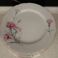 کاسه بشقاب سایز بزرگ خشتی آمریکایی و گلمیخک و...|ظروف سرو و پذیرایی|مشهد, گاز|دیوار