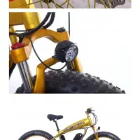 دوچرخه برقی حرفه ای زیر قیمت|دوچرخه، اسکیت، اسکوتر|گرمدره, |دیوار