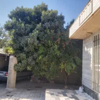 رهن و اجاره منزل مسکونی