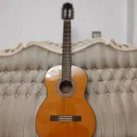 گیتار serena