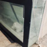 آکواریوم ماهی