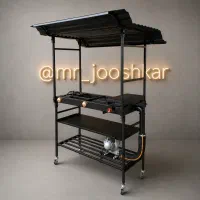 نیوپلاس سقف سینوسی منقل سیار