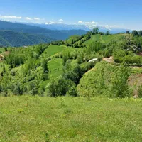 اجاره خانه،ویلا وسوئیت روستای چورت دریاچه میانشه|اجارهٔ کوتاهمدت ویلا و باغ|کیاسر, |دیوار