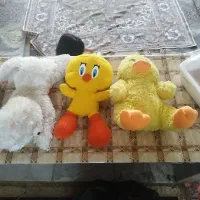 عروسک