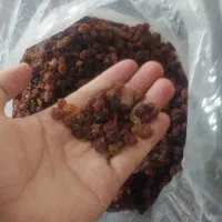 کشمش آفتابی تاکستان تحویل درب منزل|خوردنی و آشامیدنی|ساری, |دیوار