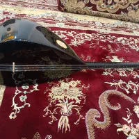 ساز دیوان حرفه‌ای|سازهای سنتی|سنندج, |دیوار