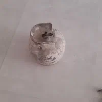 پیک نیک