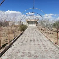 فروش-باغ