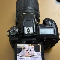دوربین Nikon 7500D full