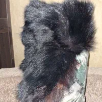 کلاه،100٪طبیعی پوست|لباس|تهران, کوثر|دیوار