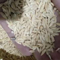 جو محلی تمیز