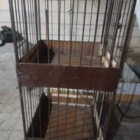 فروش قفس پرنده|لوازم جانبی حیوانات|نهاوند, |دیوار