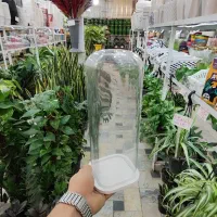 شیشه باکس شیشه آجیل یلدا گلدان تراریوم بامبو چله|گل و گیاه طبیعی|قم, ولیعصر|دیوار