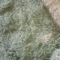 پرس درجه یک خشک