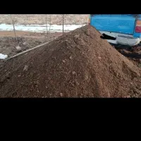 کود گوسفندی خالص|خدمات باغبانی و درختکاری|مرودشت, رامجرد یک|دیوار