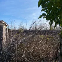 ۳۰۰متر زمین مسکونی زیباکنار