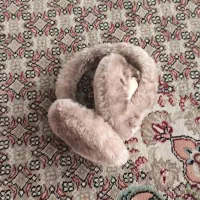 گوش گیر تدی