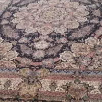 فرش۱۲متری۱۲۰۰شانه نگین مشهد|فرش|مشهد, هفت تیر (نه دره)|دیوار