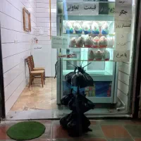 مغازه مرغ فروشی