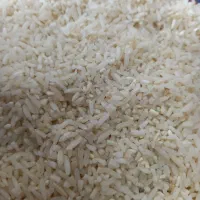 انواع برنج ایرانی|عمده‌فروشی|احمدسرگوراب, |دیوار