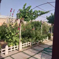 فروش خانه باغ مسکونی تمام کار در تربر جعفری|فروش خانه و ویلا|شیراز, داریون|دیوار