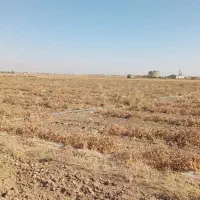 اجاره زمین|اجارهٔ دفتر صنعتی، کشاورزی، تجاری|سامن, |دیوار