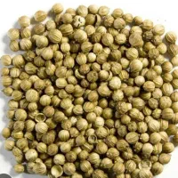 خرید گشنیز و جو