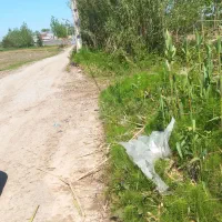 ۵۱۰مترباغی باغچه داخل طرح هادی