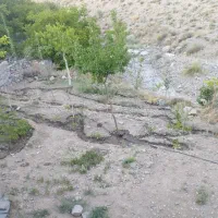 فروش زمین در شهرستان بردسیر روستای بید خوان