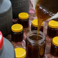 عسل طبیعی کنار
