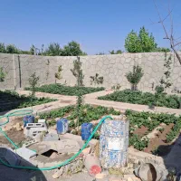 زمین ویلایی باسمنج|فروش خانه و ویلا|باسمنج, |دیوار