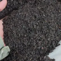 چای چوبدار قهوه خانه ای|خوردنی و آشامیدنی|بابلسر, |دیوار