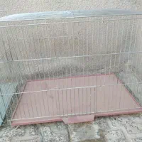 قفس پرنده|لوازم جانبی حیوانات|ایلام, |دیوار