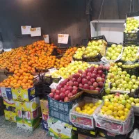 چادر میوه فروشی با تمام امکانات واگذار میشود