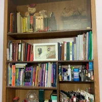 سرویس خواب بهمراه کتابخانه|تخت و سرویس خواب|شیراز, فرهنگ شهر|دیوار