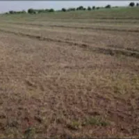 زمین  کشاورزی ۱۵۰۰ مترمربع