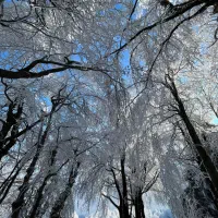 باغ با سند برق گاز منطقه ویلایی