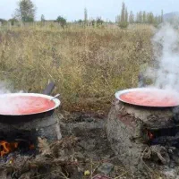 رب هیزم پز امسال