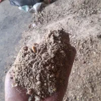 فروش خوراک دام مخصوص پرواری