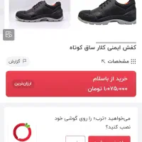 کفش ایمنی کلار سایز44