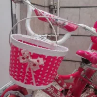 دوچرخه دخترانه ۲۰